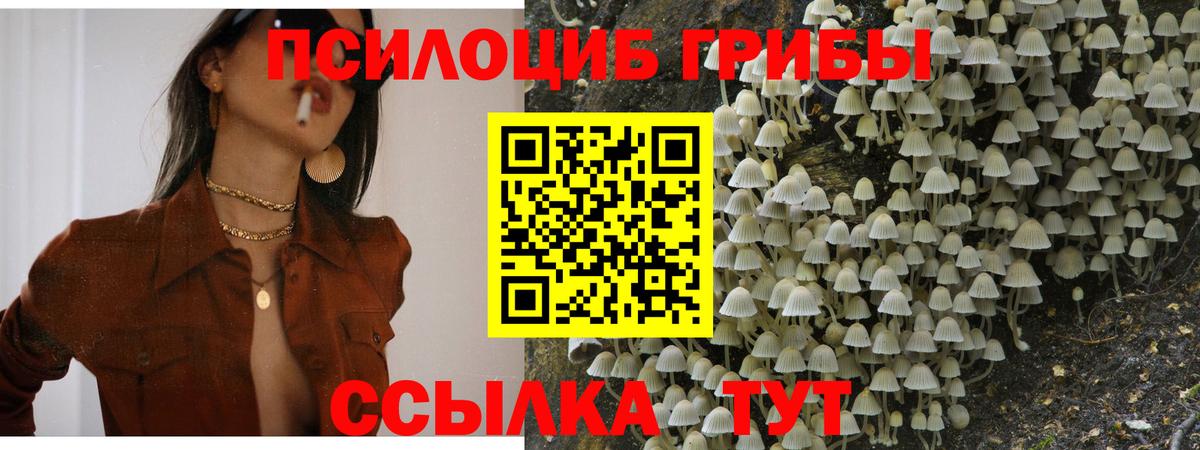 Псилоцибиновые грибы GOLDEN TEACHER  Вход с VPN  Красноуфимск 